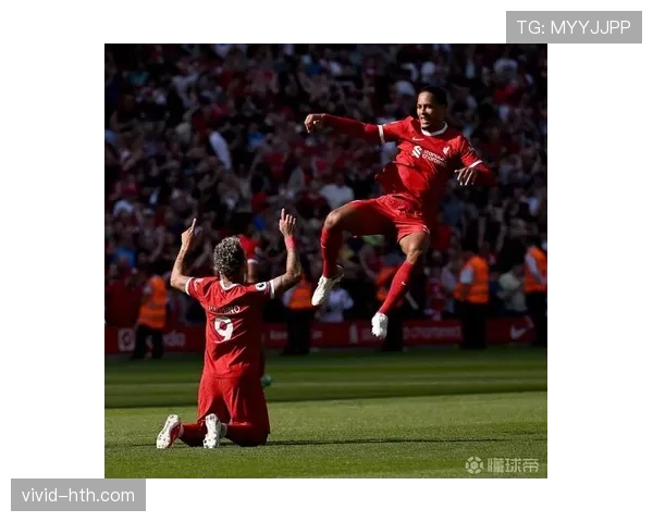 维拉阵容深度解析:关键阶段迎战未来挑战与机遇